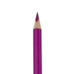 مداد رنگی 12 رنگ مقوایی Padilot