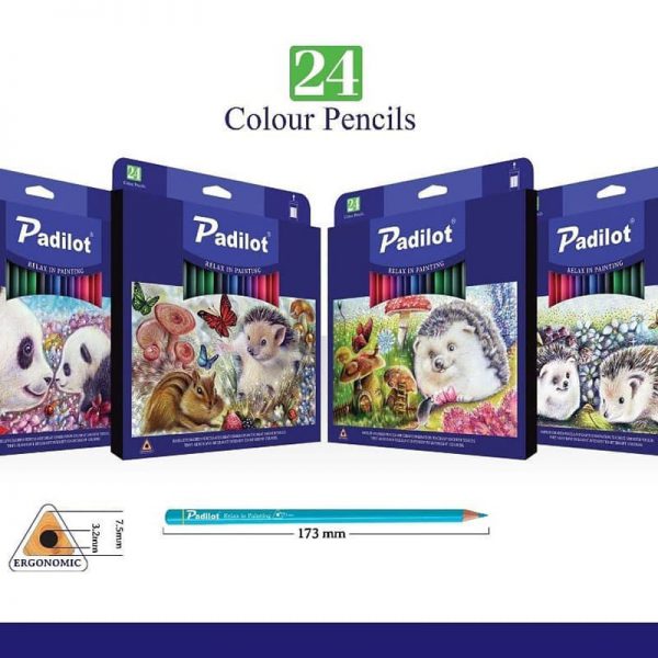 مداد رنگی ۲۴ رنگ مقوایی Padilot